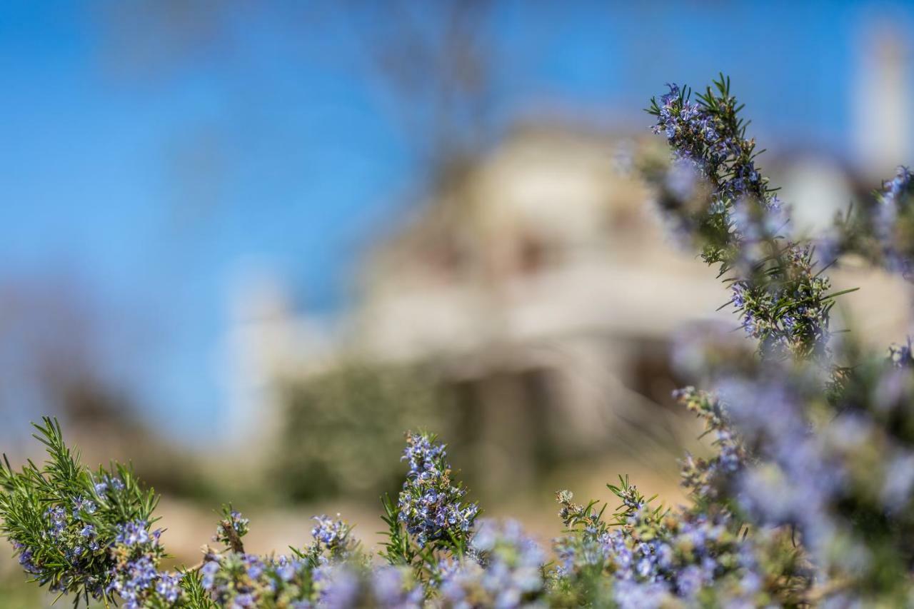 Villa Korina Pinezići Exterior foto